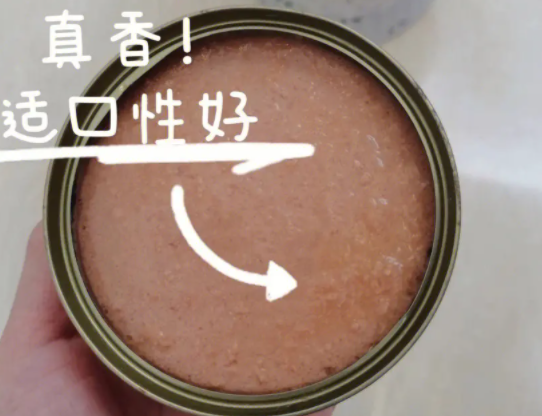 猫能吃猫罐头吗