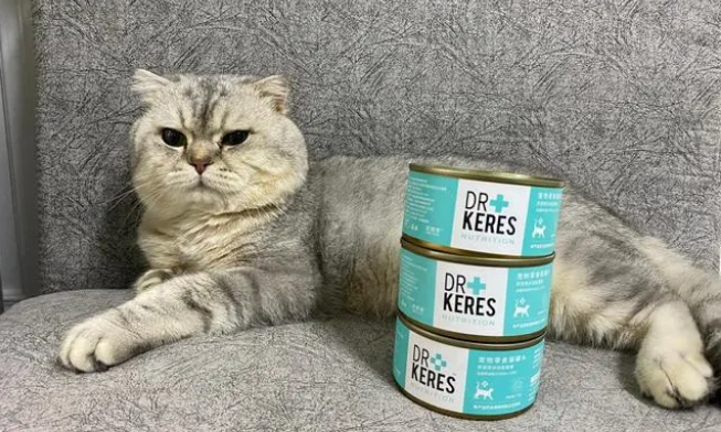 怎样挑选猫罐头 怎样挑选猫罐头