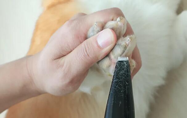电推剪品牌排行榜