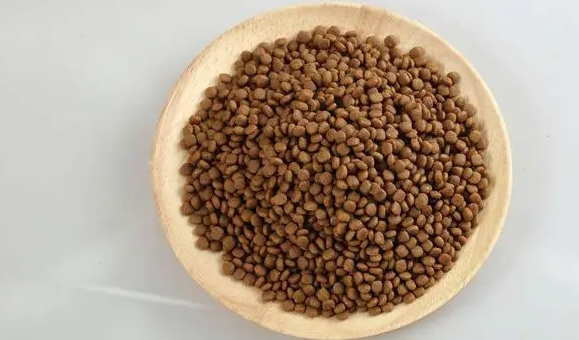 40一斤的猫粮怎么样