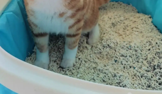 25磅猫砂是多少升