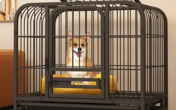 狗笼多少钱一个图片 狗笼多少钱一个图片
