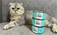 猫罐头可以拌猫粮吗
