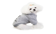 狗狗衣服怎么买