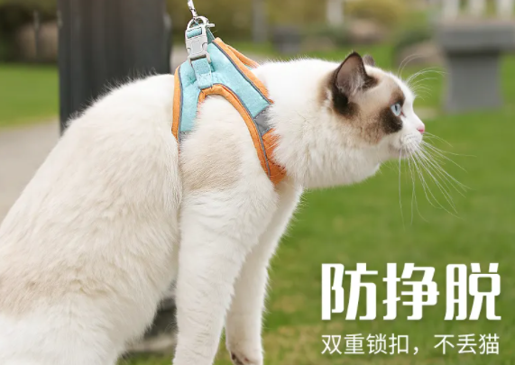 猫咪牵引绳哪里有卖