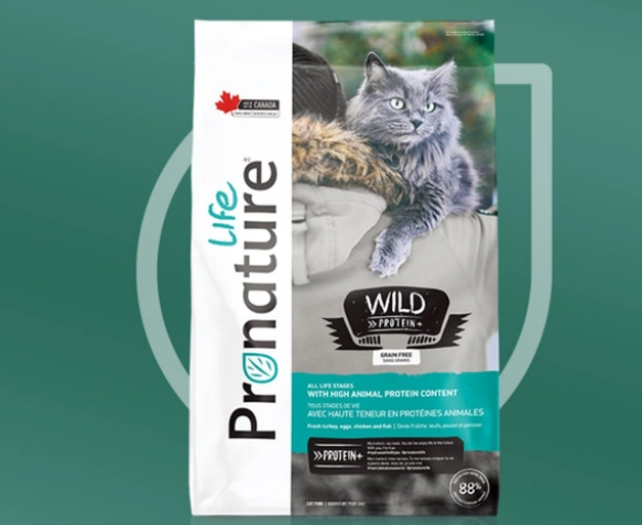 哪个品牌的猫粮比较好