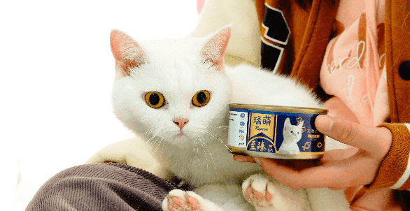 猫罐头可以随时换吗