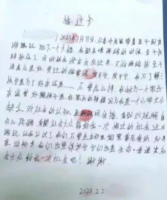父母帮男孩抓海鸥强行塞进塑料罐，处理结果来了