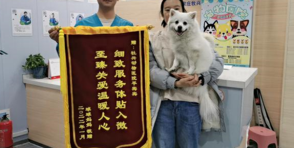什么样的宠物医院才靠谱?这几个指标可以参考! 什么样的宠物医院才靠谱?这几个指标可以参考!
