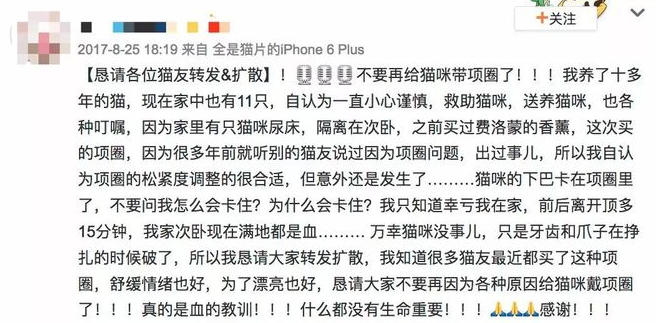给猫咪狗狗脖子上佩戴项圈,到底是爱还是害? 给猫咪狗狗脖子上佩戴项圈,到底是爱还是害?