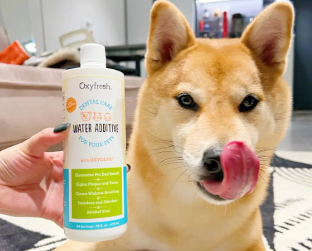 宠物洁齿水怎么用