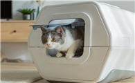 猫砂25l是多少斤