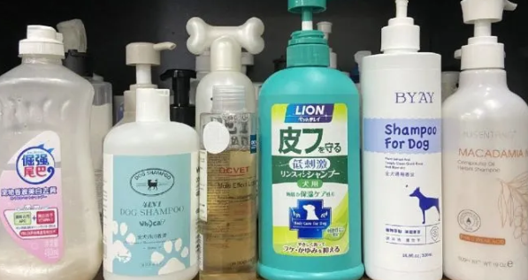 宠物用什么沐浴露好