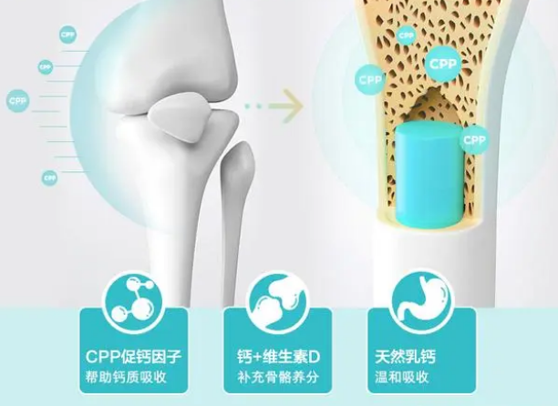 狗狗缺钙该如何补钙?对狗狗钙片你了解多少? 狗狗缺钙该如何补钙?对狗狗钙片你了解多少?