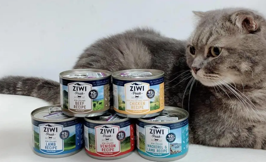 给猫吃猫罐头好吗
