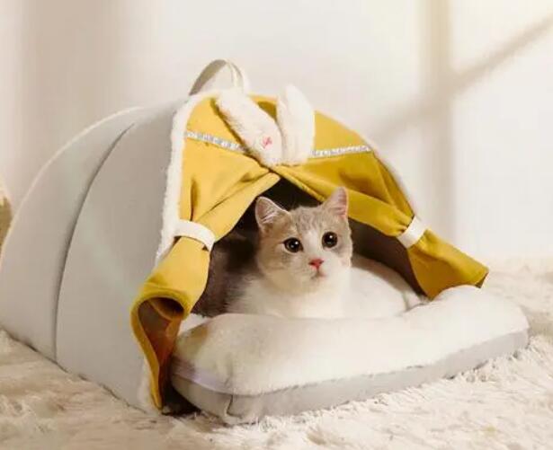 猫窝是什么样子的 猫窝是什么样子的