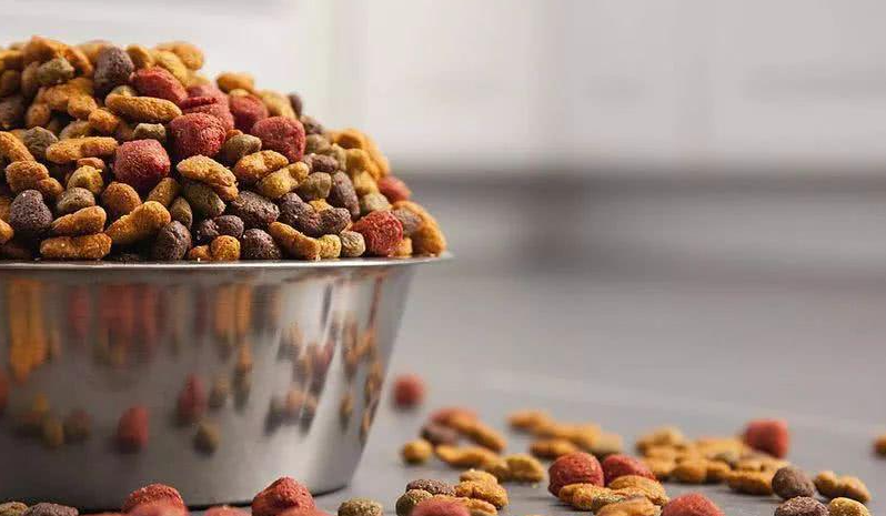 世界十大品牌狗零食 世界十大品牌狗零食