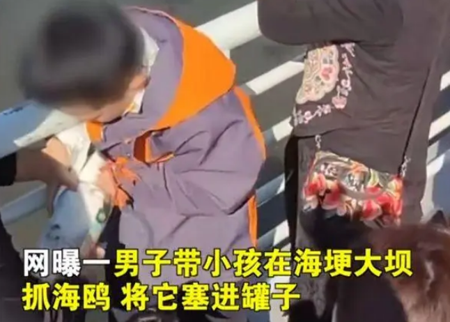 家长带男孩抓海鸥硬生生塞进罐子 惹网友众怒：应善待动物