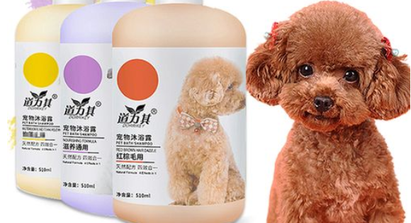 猫狗能用一样的沐浴露吗