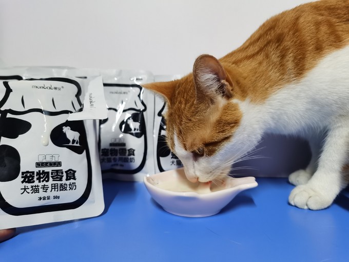 猫咪能喝的酸奶 猫咪能喝的酸奶