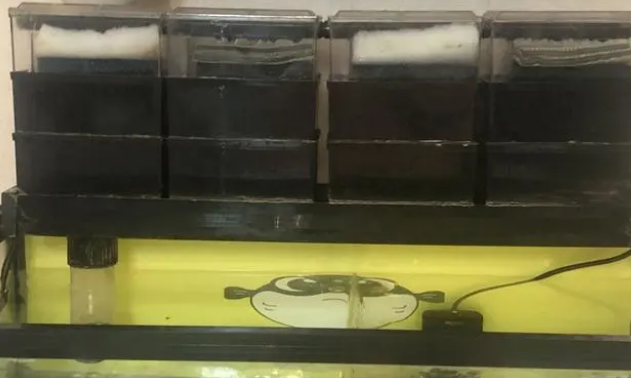 硝化细菌的作用以及培养方法 硝化细菌的作用以及培养方法