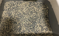 哪个猫砂的品牌好