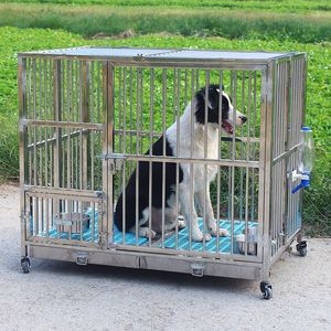 狗笼子怎么安装 狗笼子怎么安装