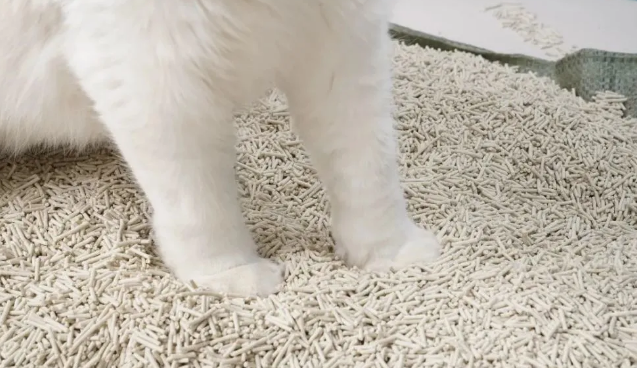 猫砂哪里有买