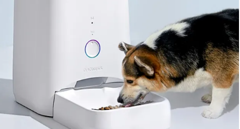 狗狗自动喂食器好用吗 狗狗自动喂食器好用吗