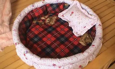 狗狗冬天狗窝要怎么弄 狗狗冬天狗窝要怎么弄