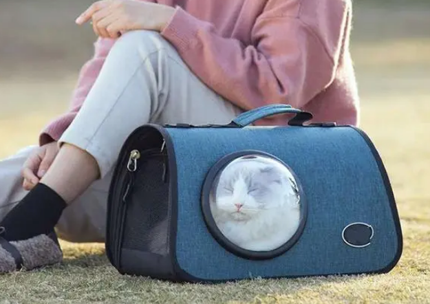 猫包猫笼航空箱,选哪样才合适? 猫包猫笼航空箱,选哪样才合适?