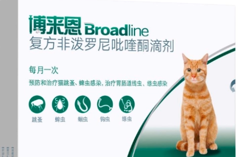 猫体内驱虫有什么注意事项你真的知道吗? 猫体内驱虫有什么注意事项你真的知道吗?