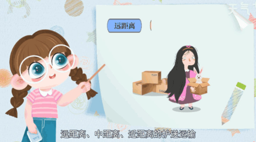 宠物怎么托运 宠物托运的步骤 宠物怎么托运 宠物托运的步骤