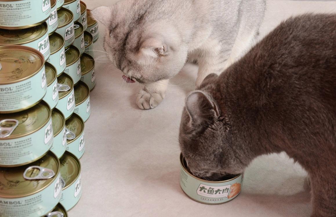 猫罐头怎么喂最佳