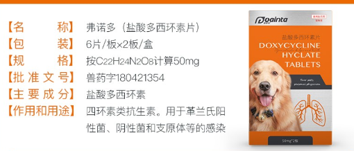 狗感冒能吃什么药