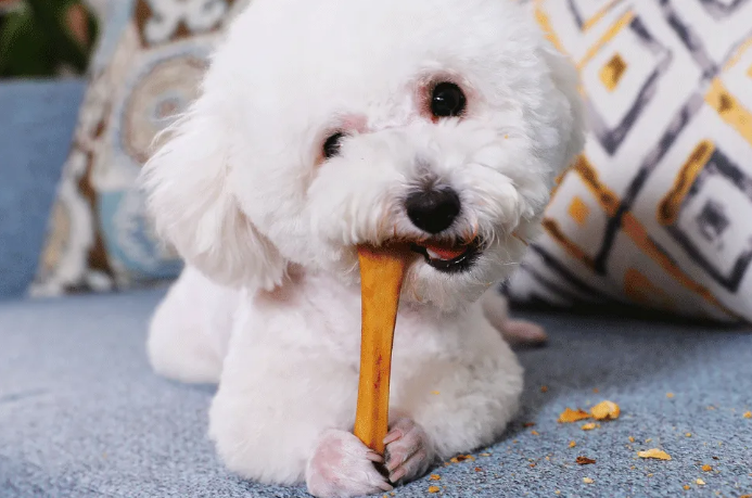 宠物的零食需要什么 宠物的零食需要什么