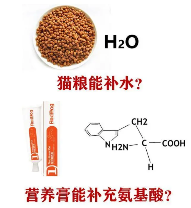 猫咪营养膏，看起来好神奇，真的有必要买吗？