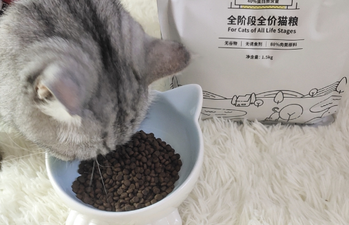 多少钱一斤猫粮