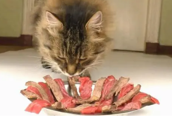 猫罐头是生肉还是熟肉 猫罐头是生肉还是熟肉