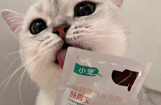 猫咪益生菌在哪里可以买到