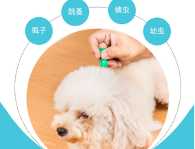 狗狗体外驱虫用什么药最好