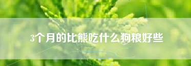 三个月比熊狗粮推荐