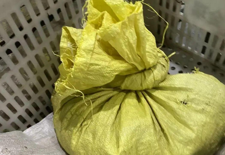苏州偷猫曝光!当事人被偷猫贼拖行致脑震荡 苏州偷猫曝光!当事人被偷猫贼拖行致脑震荡