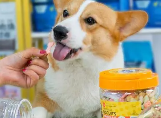 狗狗推荐零食