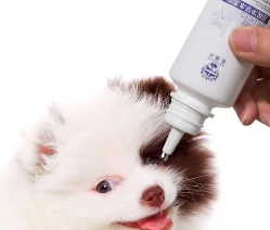亮洁滴眼液宠物好用吗 亮洁滴眼液宠物好用吗