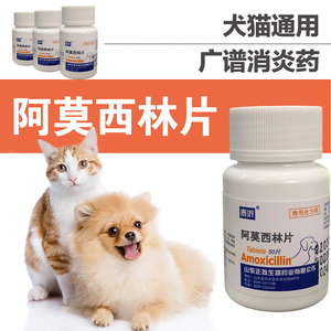 狗消炎药吃什么消炎药 狗消炎药吃什么消炎药