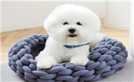 小狗狗衣服怎么做