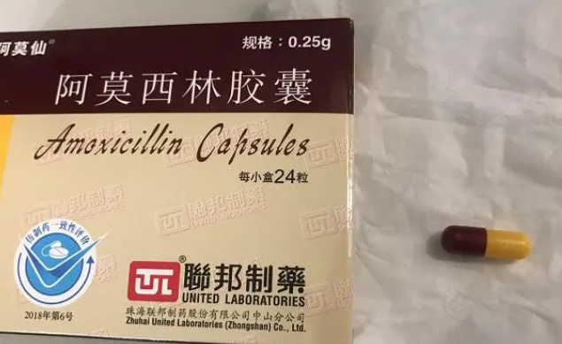 猫感冒了,怎么用阿莫西林替代速诺? 猫感冒了,怎么用阿莫西林替代速诺?