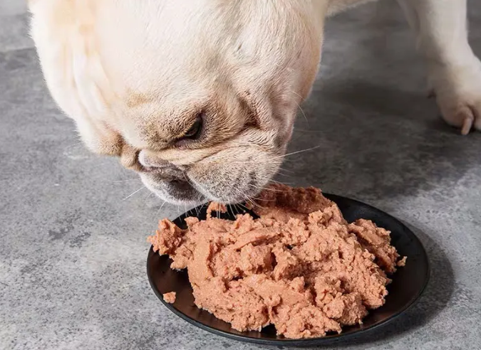 狗狗能不能吃猫罐头