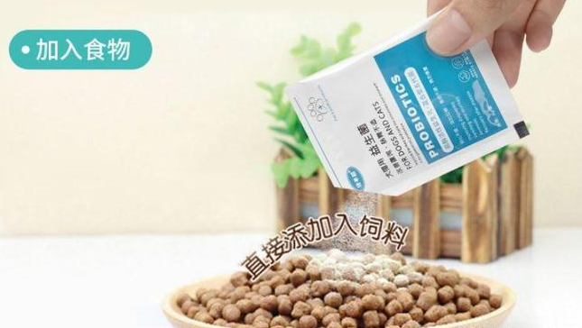 狗狗在什么情况吃益生菌呢？4大方面详解益生菌！